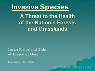 Managing Invasive Species to Safeguard our Forests