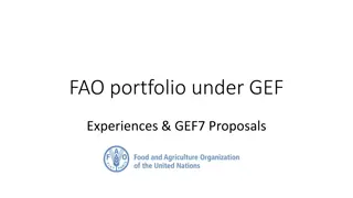 FAO GEF Experiences and New Initiatives in Climate Resilience