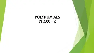 Polynomials and Their Zeroes: A Comprehensive Overview