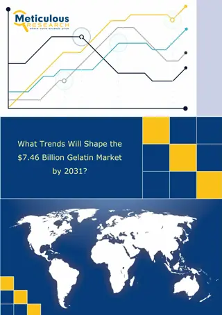 Gelatin Market