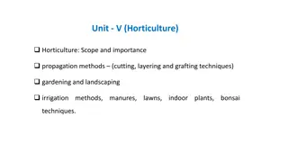 Horticulture: Scope, Importance, and Propagation Methods