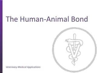 Exploring the Human-Animal Bond in Veterinary Medicine