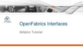 libfabric: A Comprehensive Tutorial on High-Level and Low-Level Interface Design