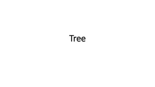 Trees in Data Structures