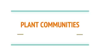 Plant Communities: Definition, Characteristics, and Succession