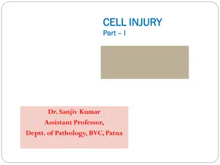 Cell Injury and Adaptation in Pathology