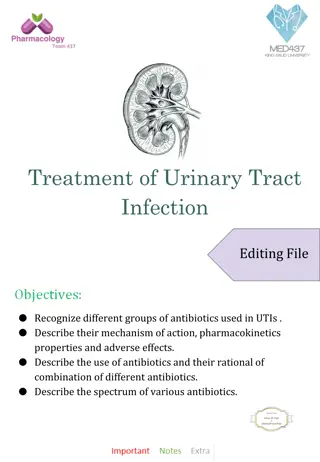 Antibiotics for Urinary Tract Infections: Mechanism, Pharmacokinetics, and Use