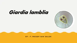 Overview of Giardia lamblia Parasite and Giardiasis Disease