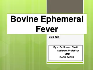 Bovine Ephemeral Fever: Key Information and Insights