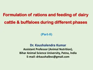 Dairy Cattle and Buffaloes Feeding Guidelines for Optimal Performance