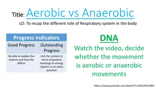 Understanding Aerobic and Anaerobic Exercise Systems