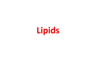 Lipids: Properties, Functions, and Structure