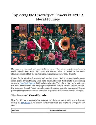 Exploring the Diversity of Flowers in NYC_ A Floral Journey