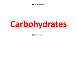 Carbohydrates: Essential Organic Molecules in Nature