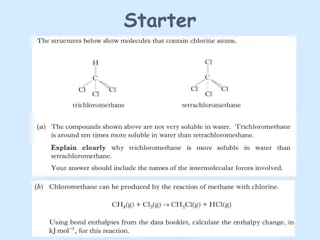 Understanding Proteins: Functions, Structure, and Breakdown