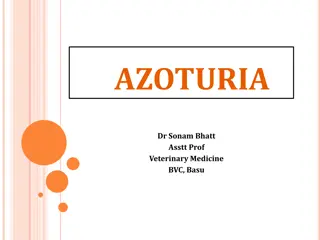 Azoturia in Horses: Causes, Symptoms, and Treatment