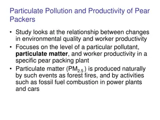 Impact of Particulate Pollution on Pear Packers' Productivity