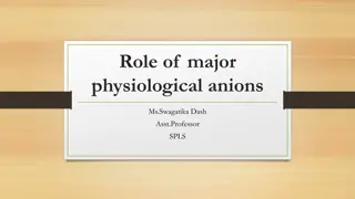 Role of Major Physiological Anions in the Human Body