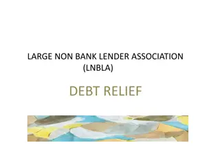 Large Non-Bank Lender Association (LNBLA) Debt Relief Initiatives Overview