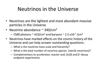 Insight into Neutrinos: Impacts on the Universe's Cosmic History