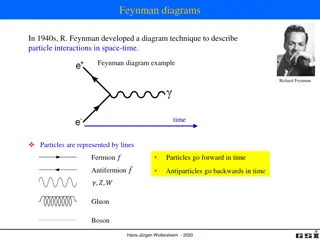 Feynman Diagrams in Particle Physics