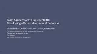 Efficiency of Deep Learning: From SqueezeNet to SqueezeBERT