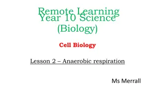 Anaerobic Respiration in Cell Biology - Year 10 Science Lesson