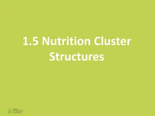 Nutrition Cluster Structures and Roles