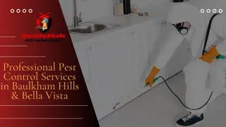 Professional Pest Control Services in Baulkham Hills and Bella Vista