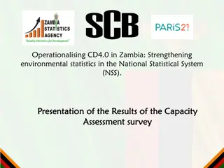 Strengthening Environmental Statistics in Zambia: Capacity Assessment Results