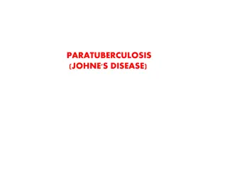 Understanding Paratuberculosis (Johne's Disease) in Animals