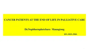 Palliative Care for Cancer Patients at the End of Life: A Global Perspective