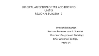 Surgical Affection of Tail and Docking - Regional Surgery Insights