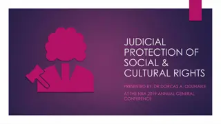 Judicial Protection of Social and Cultural Rights in Nigeria: Insights from NBA 2019 Conference