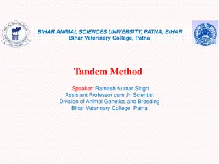 Tandem Method in Animal Breeding: Sequential Traits Selection