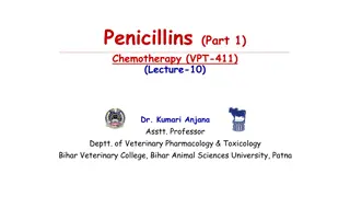 History and Use of Penicillins in Veterinary Pharmacology