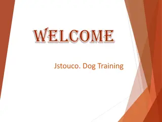 If you are looking for Private Dog Training in Wilton