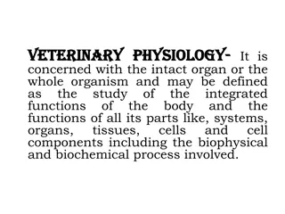 Understanding Veterinary Physiology and the Functions of Blood