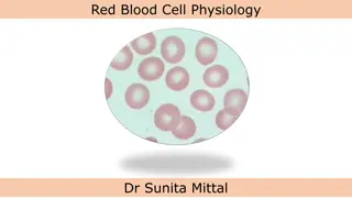 Red Blood Cell Physiology