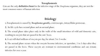 Toxoplasmosis: Causes, Transmission, and Hosts