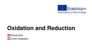 Understanding Oxidation and Reduction in Biotechnology through Erasmus+ Sustainability