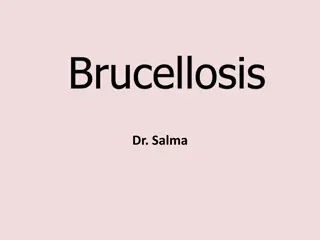 Overview of Brucella Bacteria and Brucellosis Infection