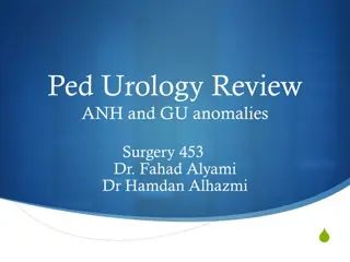 Pediatric Urology Review: Antenatal Hydronephrosis and Genitourinary Anomalies