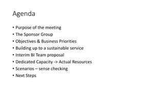 BI/MI Sponsoring Group Overview and Responsibilities