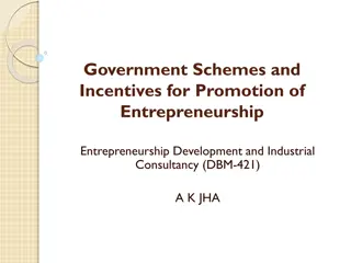 Government Schemes and Incentives for Entrepreneurship Development