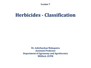 Overview of Herbicides Classification and Chemical Nature