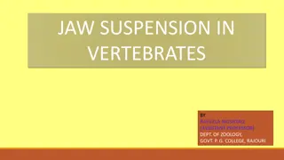 Jaw Suspension in Vertebrates: Types and Mechanisms Explored