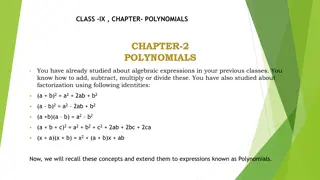 Understanding Polynomials and Algebraic Expressions