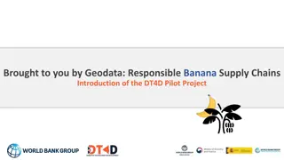 Promoting Responsible Banana Supply Chains in the Philippines