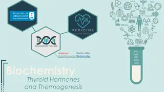 Glucose Homeostasis in Metabolic Processes